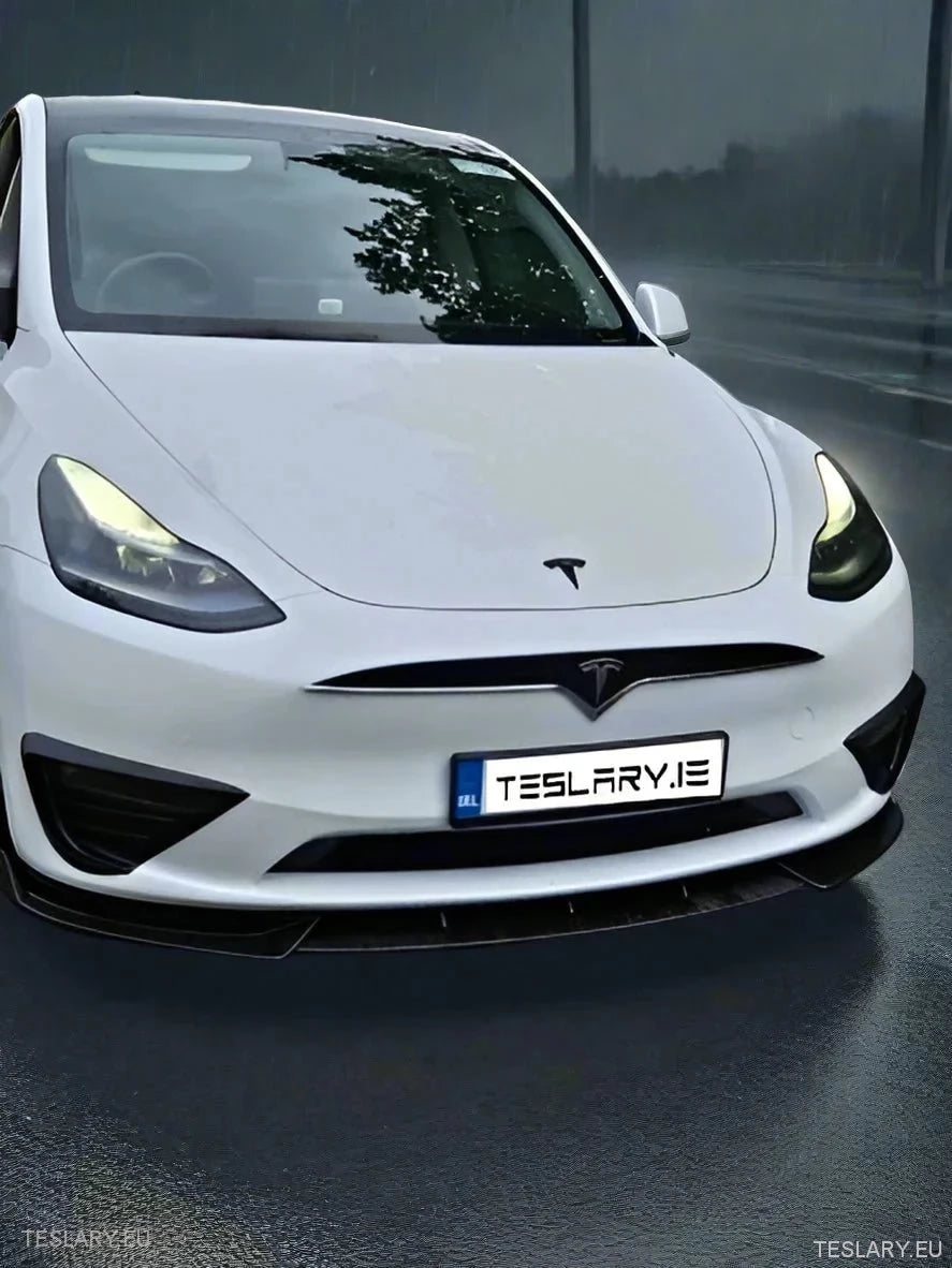 Tesla Y Real Plastic Front Grill ( Tesla S Style ) - Tesla Shop Europe - TESLARY.IE Ireland - France boutique- Deutschland Geschäft- España comercio - Nederland winkel- TESLARY.IE