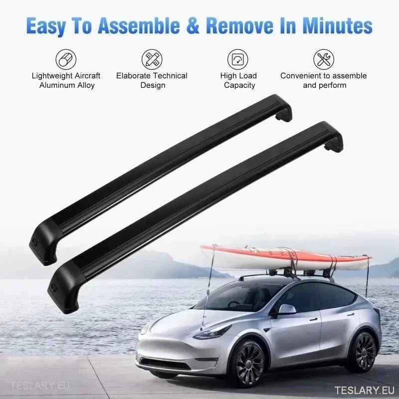 Accessori Imperdibili per Tesla: Potenzia la Tua Auto