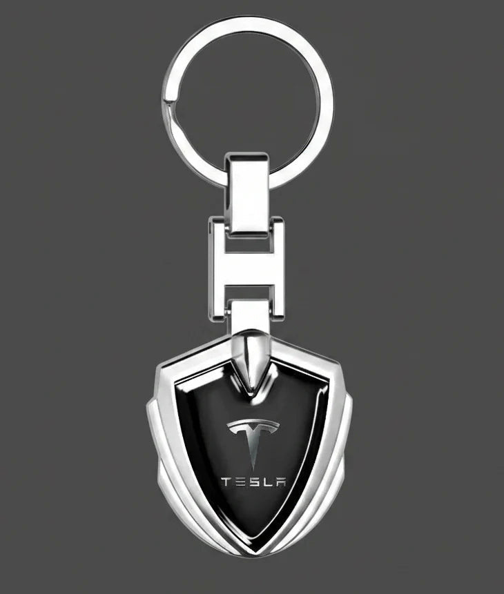Accessori Tesla per Trasformare Esperienza Guida