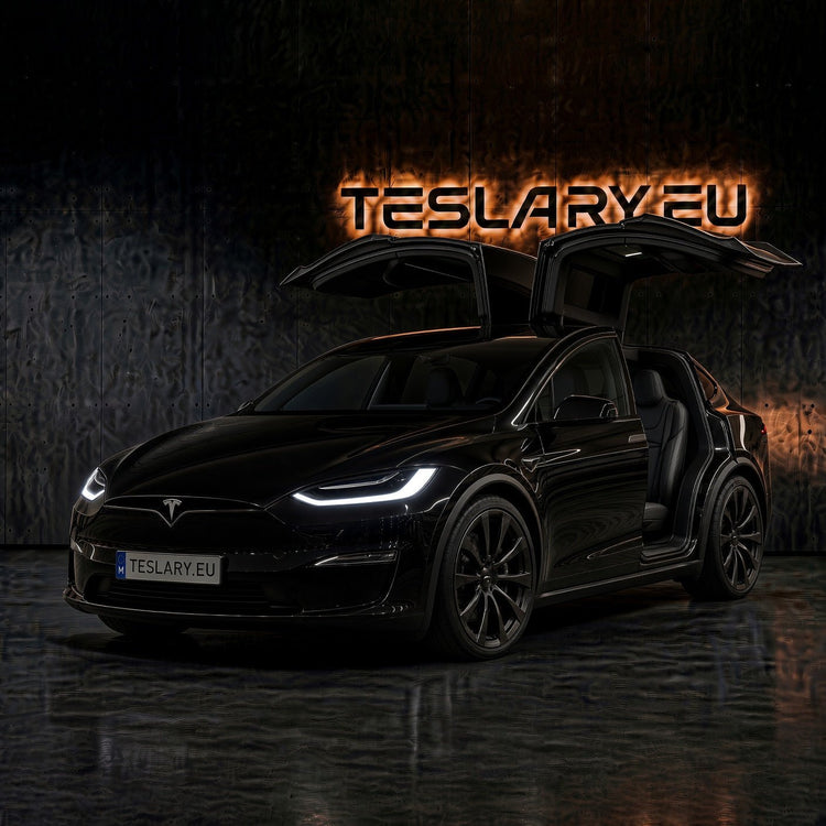 TESLA MODEL X PARTS AND ACCESSORIES WITH FAST DELIVERY FROM EUROPES TESLA ONLINE SHOP TESLARY.EU