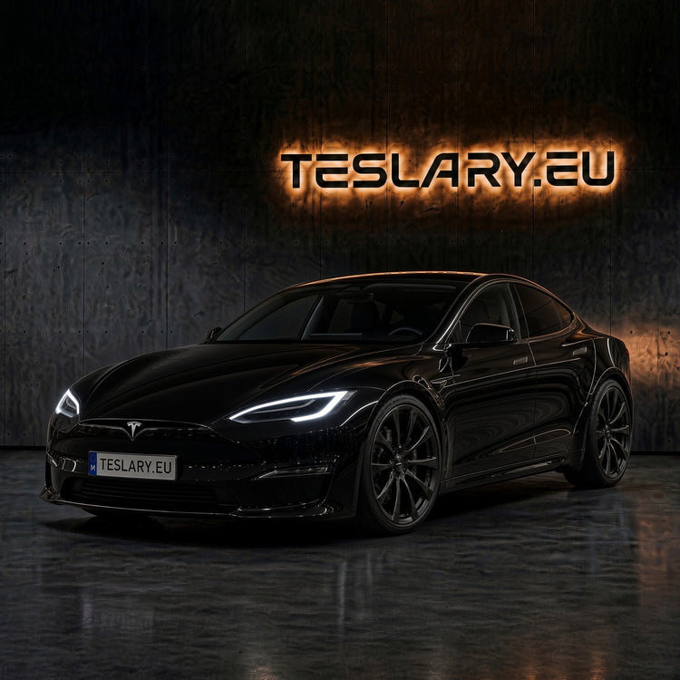 TESLA S