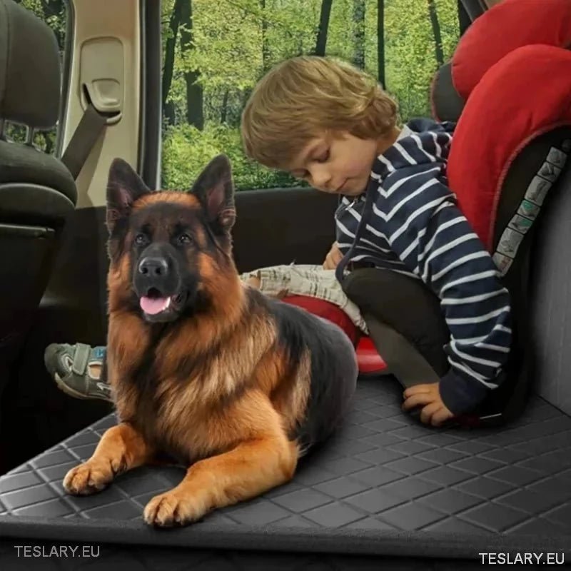 Premium Dog Car Seat Cover for Back Seat Suitable for Tesla 3 , Y & S - TESLARY Tesla Shop Accessories Europe Nederlands Dublin Cork Ireland Deutschland Espana Alicante France Italia
