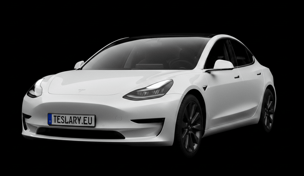 TESLA MODEL 3 ACCESSORIES WHEEL COVERS TPMS SENSORS STORAGE SEAT COVERS AND MORE FROM EUROPES TESLARY.EU WITH FREE DELIVERY