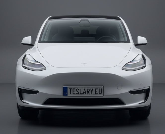 Mistlampframes, sierlijst, wenkbrauwafdekking, exterieurdecoratie, splittersticker voor Tesla Model Y 3 Koop bij Europeanen teslary.eu