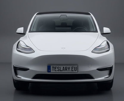 Mistlampframes, sierlijst, wenkbrauwafdekking, exterieurdecoratie, splittersticker voor Tesla Model Y 3 Koop bij Europeanen teslary.eu