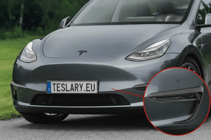 Grijze elektrische auto met 'TESLARY.EU'kentekenplaat op een weg.