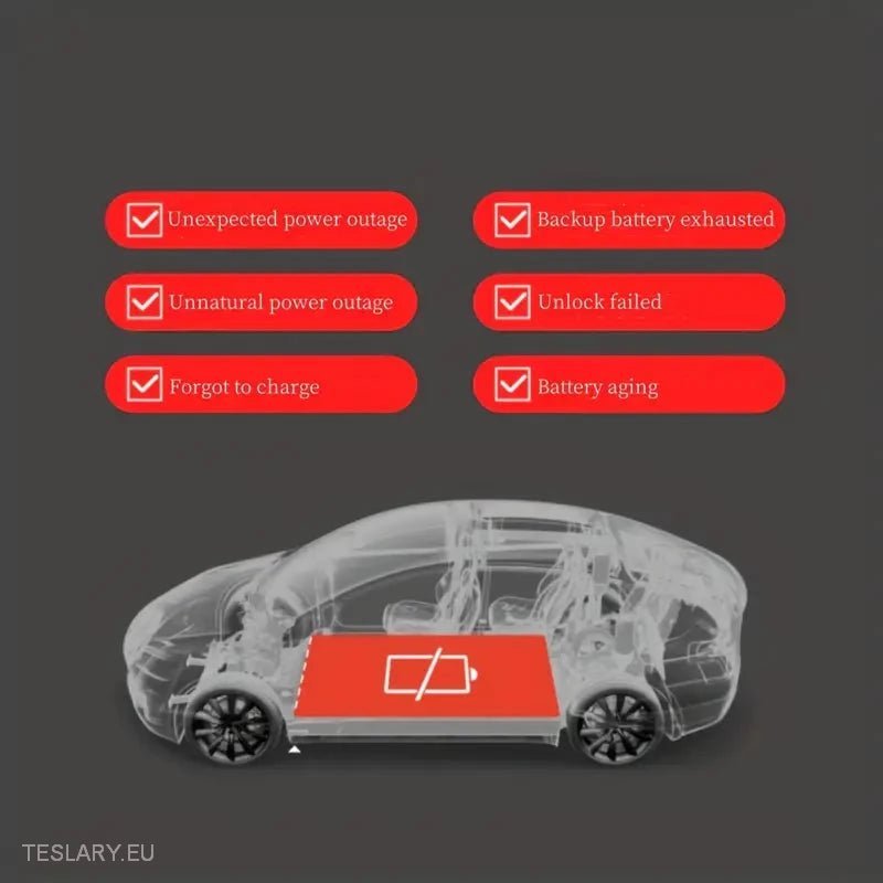 Tesla 3 Highland Emergency Rear Door Pull Handle -TESLARY.IE Tesla Shop Europe